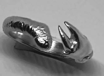 2887 Krappenzangenring dnn